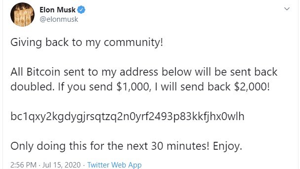 Elon Musk give back.jpeg