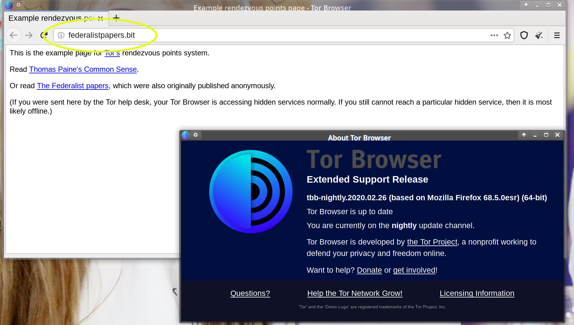 Tor browser opens and closes hyrda статьи по наркотикам