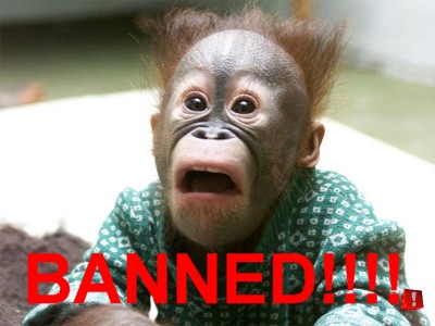 Banned-chimp.jpg