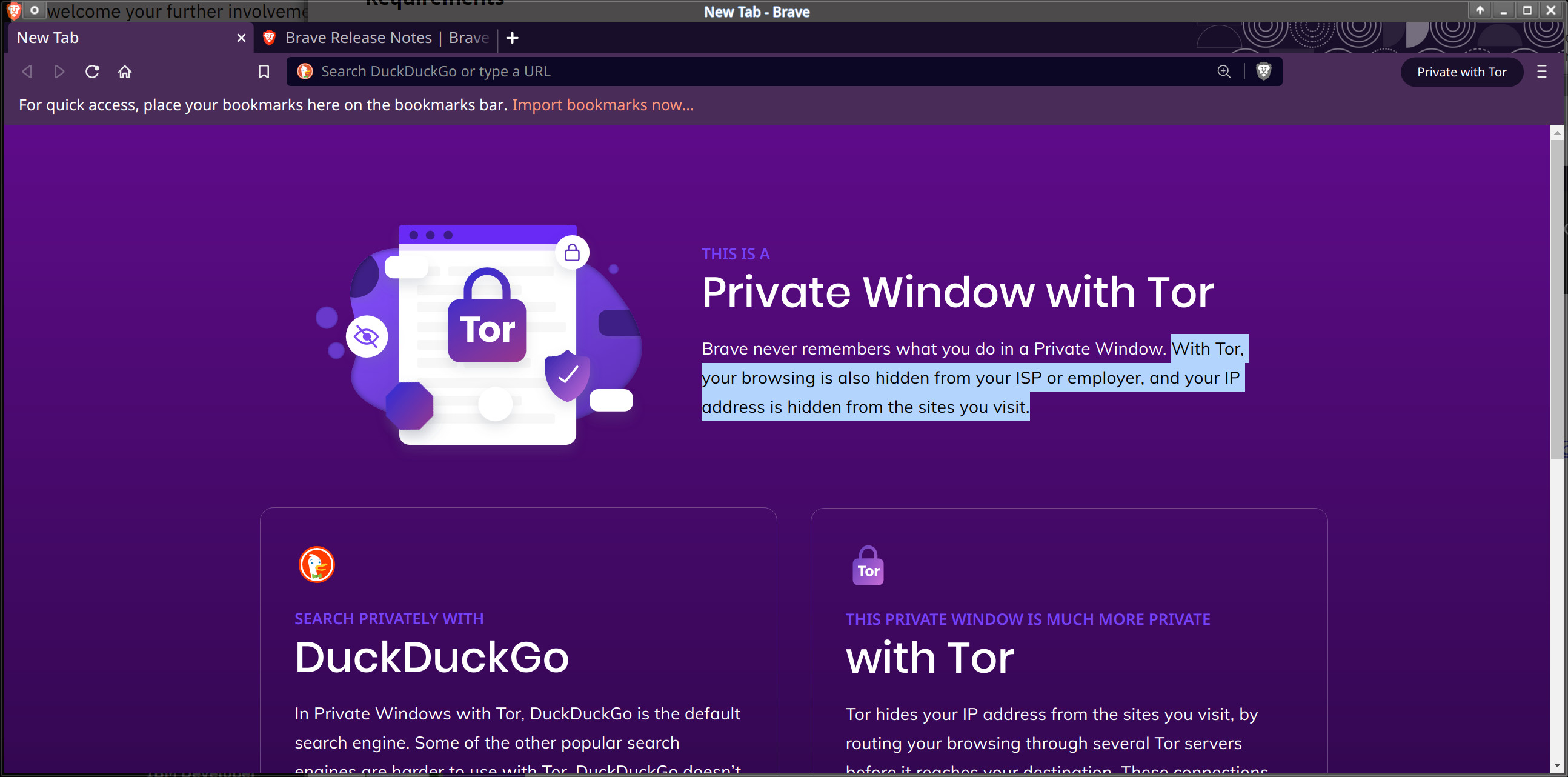 using tor browser and google dns