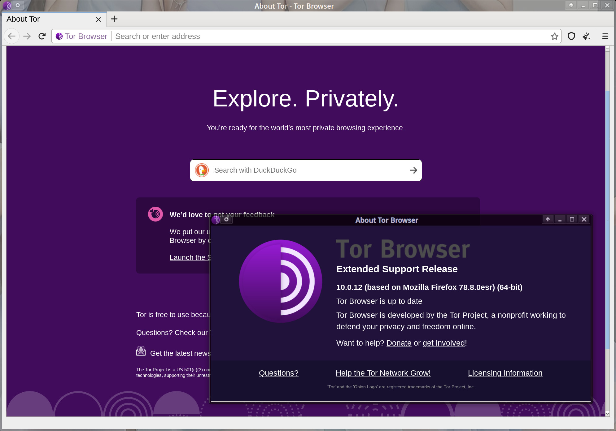 is tor safe to use on windows