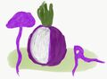 Tor-drawing.jpg