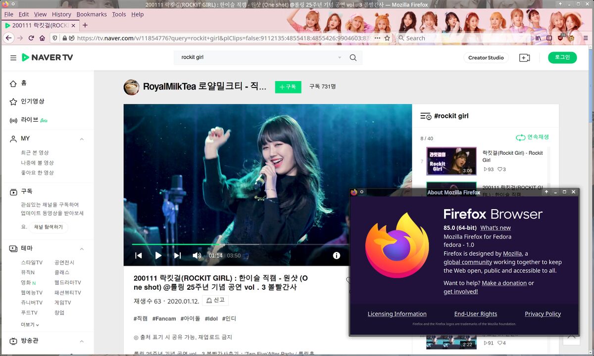 Mozilla firefox 50.0.1 32-bit