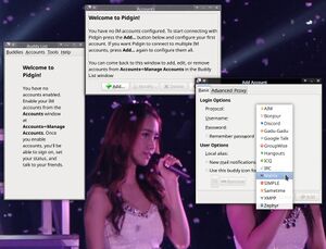 Pidgin-protocols-supported.jpg