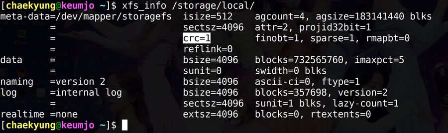 Xfs info showing v4 filesystem.jpg