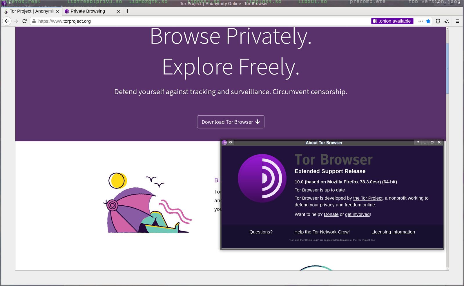 search browser for tor