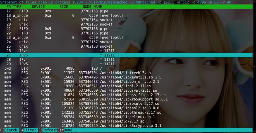 Htop-2.2.0-processview.jpg