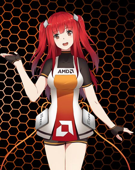 Amd-information.jpg