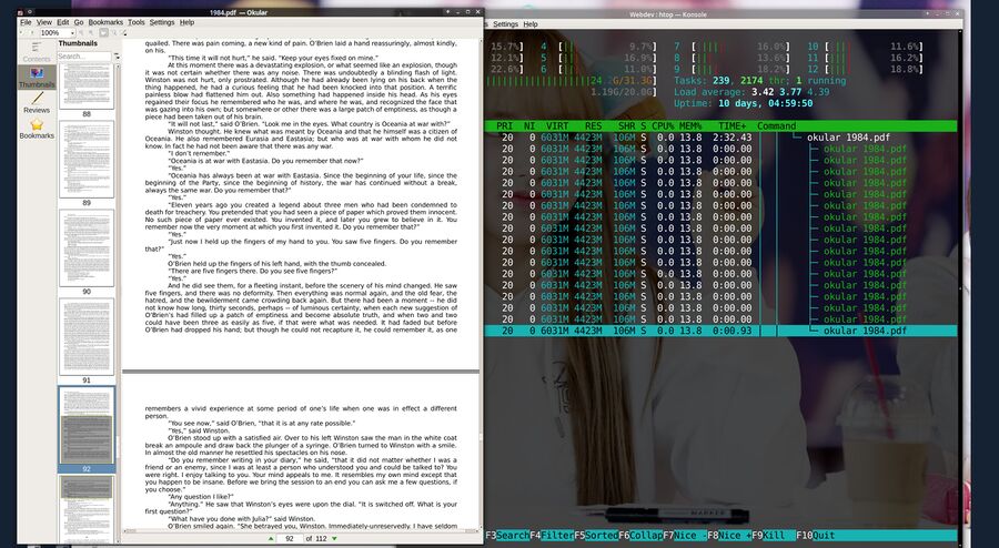 Okular and htop.jpg