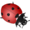 Animals-ladybug.png