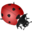 Animals-ladybug.png