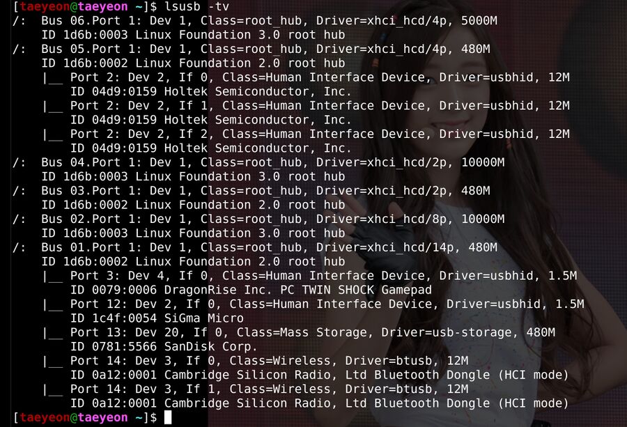 Lsusb-example-output.jpg