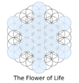 The FLower Of Life.svg