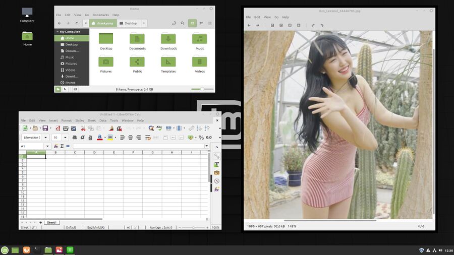 Linuxmint-19.3-default Cinnamon desktop with Xviewer and libreoffice.jpg