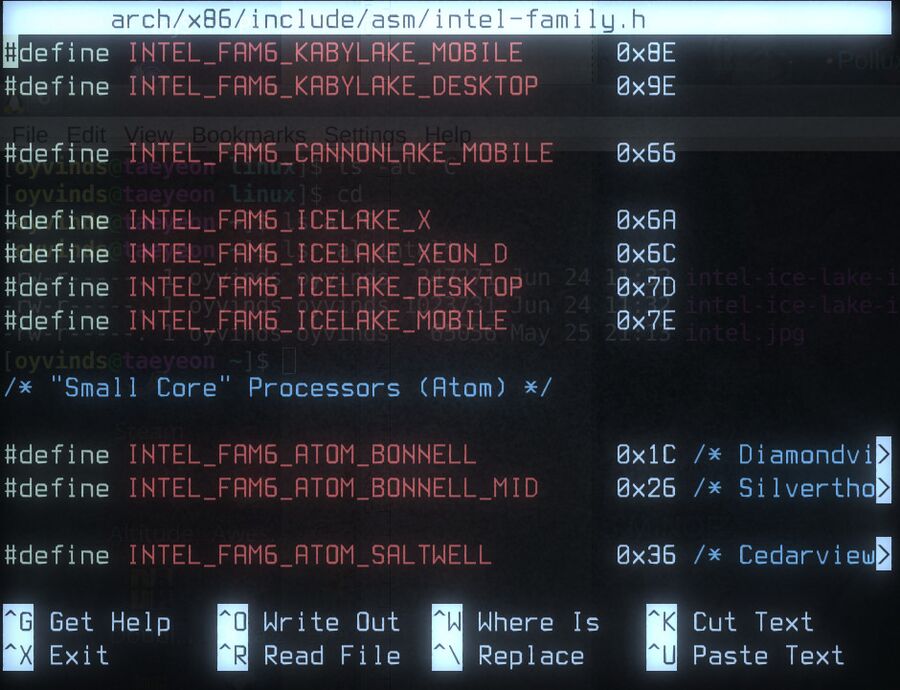 Intel-ice-lake-in-the-kernel.jpg