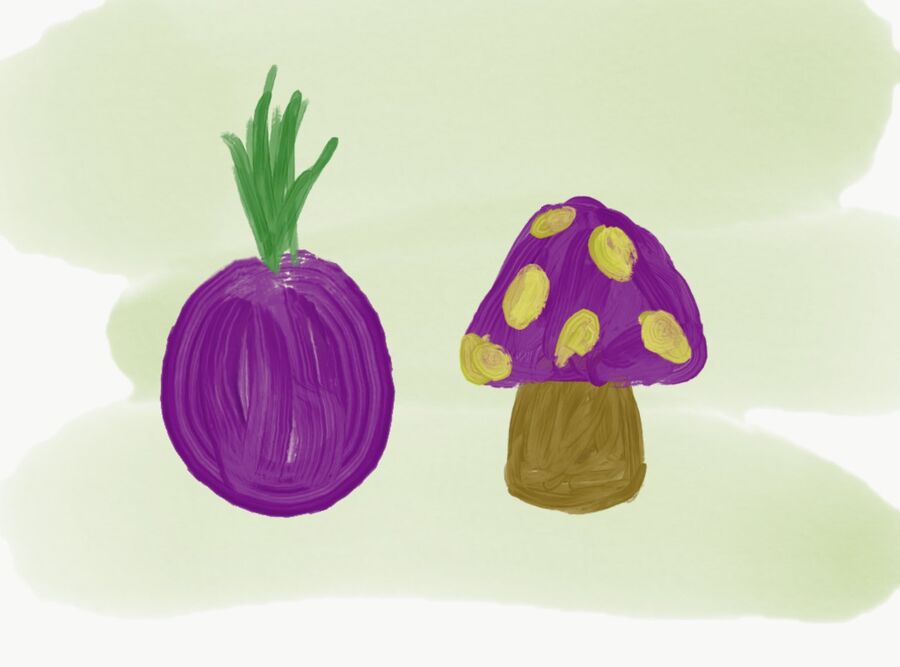 Tor-artwork-by-nacy-mushroom-kim.jpg