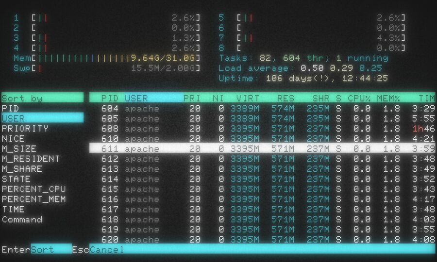 Htop-2.2.0-sort.jpg