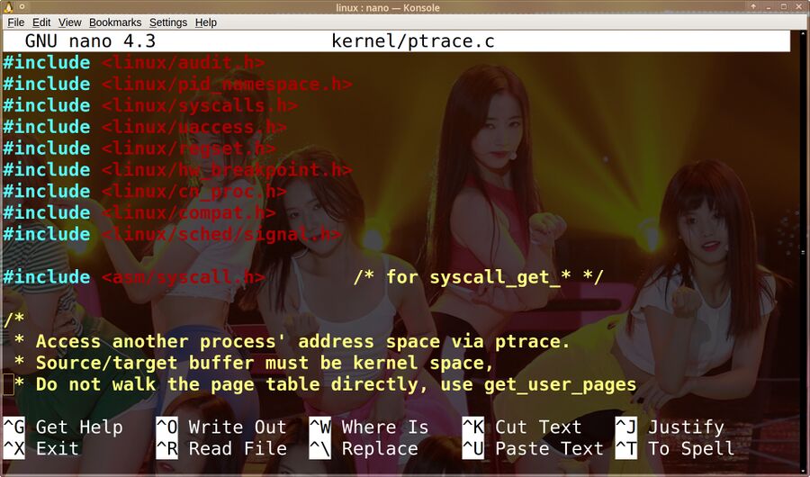 Kernel.ptrace.jpg