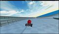 Mario Kart DX12 Wine vkd3d 1.2 demo.jpg