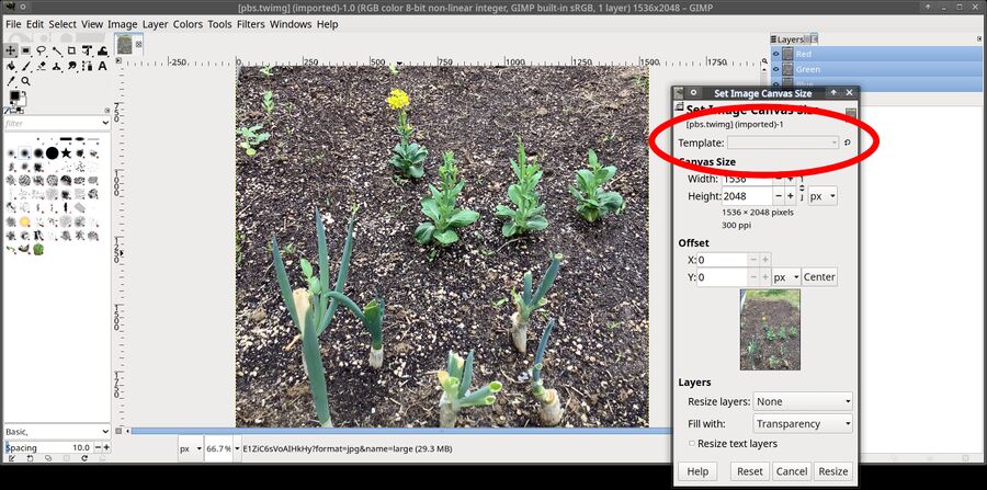 GIMP-2.99.6-canvas-resize-templates.jpg
